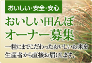 おいしい田んぼオーナー募集