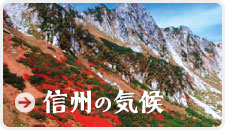 信州の気候